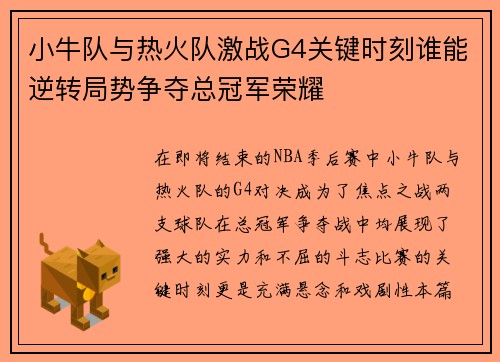 小牛队与热火队激战G4关键时刻谁能逆转局势争夺总冠军荣耀